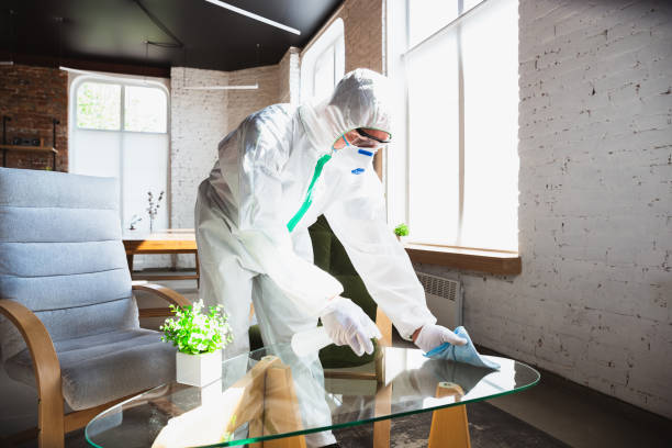 Best Emergency Mold Remediation in Brownwood, TX